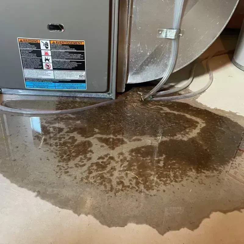 Appliance Leak Cleanup in Marshfield, MO